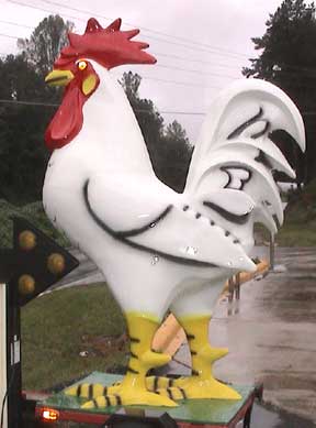 Robbinsville Texico Big Chicken